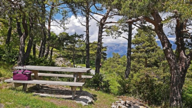 hpgruesen - pixabay.com