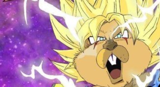 Mele Comics 2026: fumetti, manga, gara cosplay e concerto delle Marmotte d'Acciaio