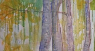 Frammenti ricomposti. Alberi e visioni tra pittura e fotografia, la mostra a Castello D'Albertis