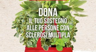 Erbe Aromatiche di Aism in piazza a Loano