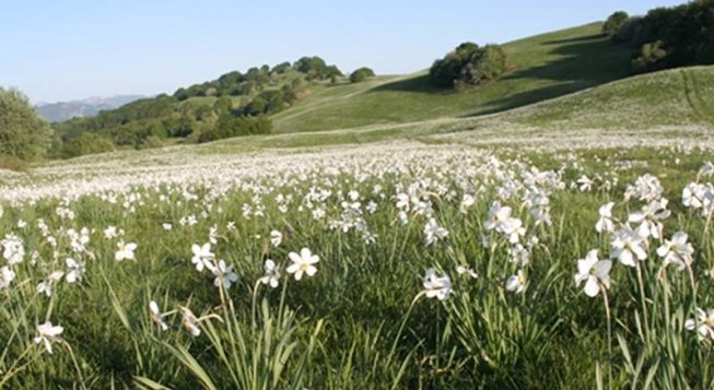 ©A. Federici / Parco Antola