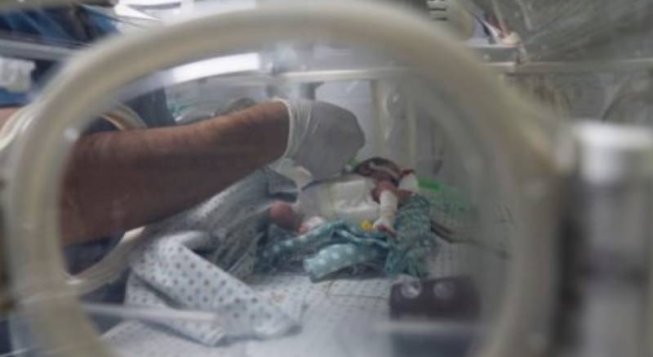 Msf a Gaza