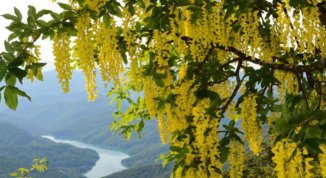 L'anello dei Maggiociondoli in Antola, escursione in Alta Val Trebbia