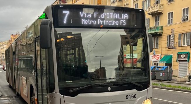 Bus Amt ©Paola Popa