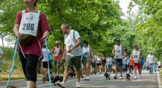 StraBassotti 2026, marcia podistica non competitiva per cani e accompagnatori