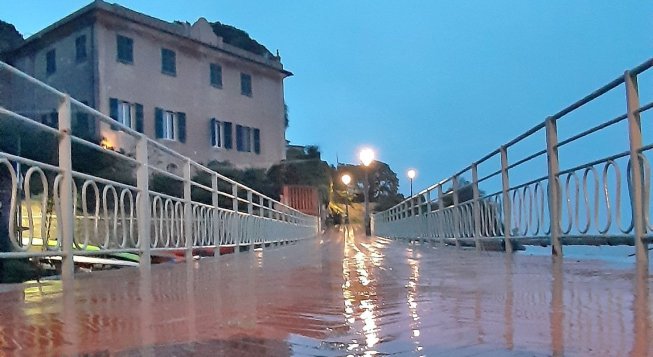 Nervi ©Danilo Lo Re