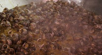 Lumacata a Fabbriche di Voltri 2026: sagra delle lumache, musica e tipicità