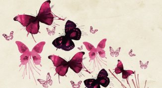 Sfilata delle Farfalle Rosa sull'Isola delle Chiatte, si celebra la forza delle donne