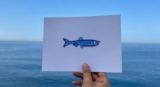 Laboratorio di ricamo su carta a Camogli: crea la tua acciuga con Made in Camogli e Remescio