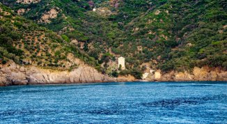 Portofino via terra e via mare: escursione con nuotata nella baia di San Fruttuoso