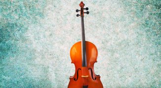 Armonie della Natura, concerto d'estate dell'Orchestra UniMi