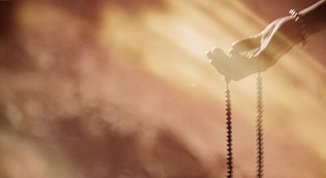 Where Olive Trees Weep, al cinema Sivori la proiezione del documentario di Maurizio Benazzo