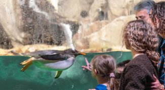Estate 2026 all'AcquarioVillage, tra edutainment, visite guidate e scoperta