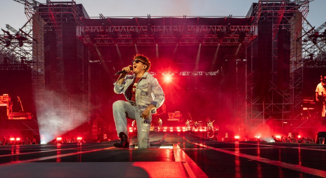 Olly © Prandoni