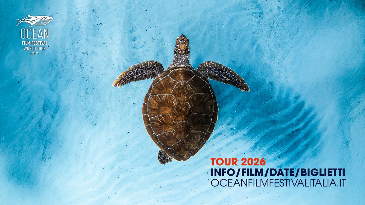 Ocean Film Festival World Tour Italia, proiezione al Teatro Loreto