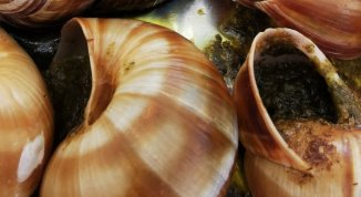 Sagra delle lumache a Sestri Levante 2026 con serate danzanti