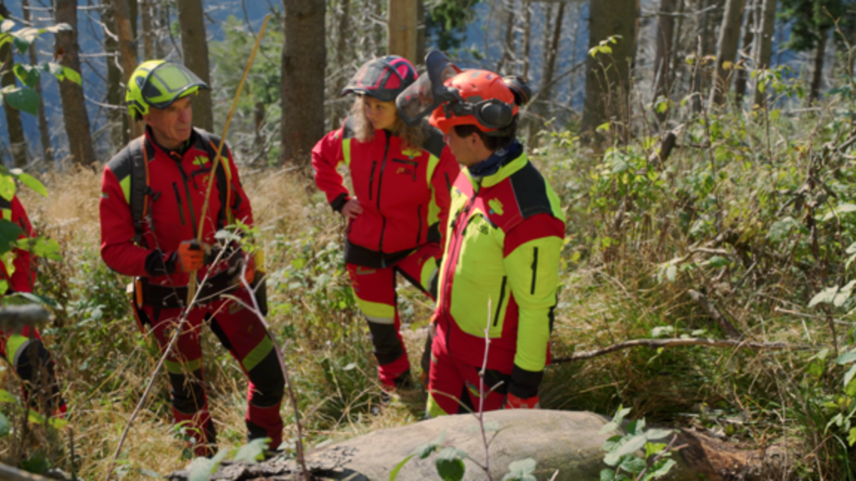 The Forest con Cristiana Morganti al Vascello