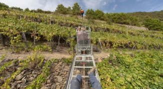 Le monorotaie delle Cinque Terre: un investimento per continuare a coltivare le verticalità