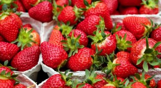 Fragolata di Bargone 2026: degustazione gratuita di fragole, gastronomia e musica