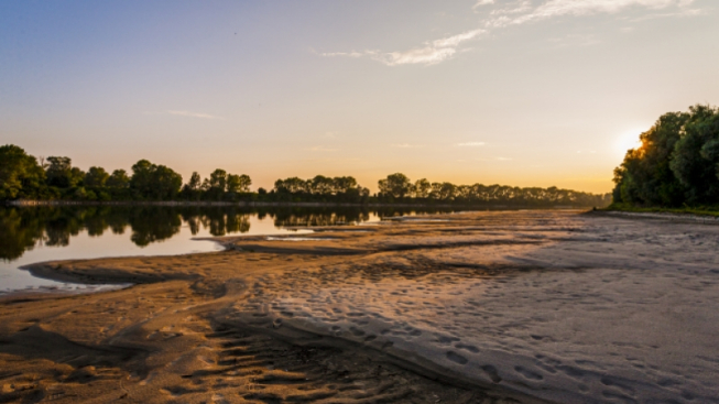 Wikimedia Commons / Alessandro Anglisani