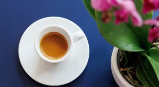 Degustazione gratuita del nuovo Lavazza Mola Style al Mercato Orientale