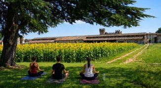Girasoli in Castello 2026, campo fiorito con eventi per adulti e bambini