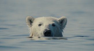 Cinemambiente in Valchiusella 2026: ottava edizione del festival con proiezioni gratuite ed eventi