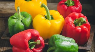 Sagra del Peperone di Motta 2026, con stand gastronomici e serate danzanti