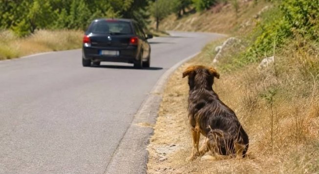 La nuova campagna di comunicazione social di Regione Liguria