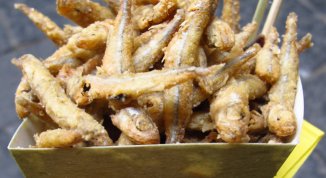 Pesce Fritto Festival: stand gastronomici, concerti gratuiti e spettacoli - Lago Paderno Dugnano 2026