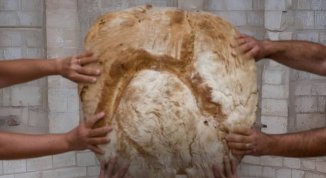 Terra Madre 2026, il Salone del Gusto a Torino che celebra il valore della biodiversità