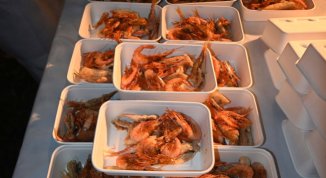 Sagra del Fritto di Pesce a Santa Margherita Ligure 2026