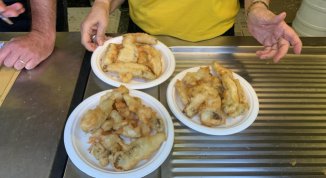 Sagra del Fungo di Tavarone 2026: funghi fritti, polenta e musica