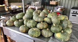 Sagra della Zucca a Castelletto Monferrato 2026
