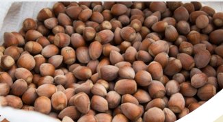 Nocciola in Festa: a Mezzanego tre giorni tra gastronomia, musica e sport