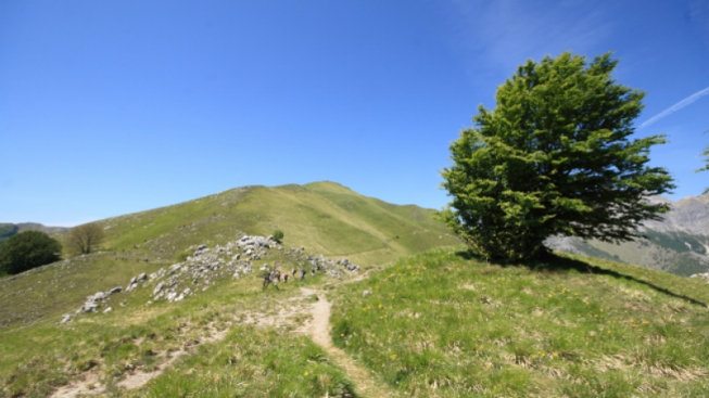 Monte Croce © Flickr.com / Fabio Salani