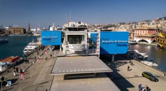 Acquario di Genova: settembre con tariffa speciale per i liguri e sconti per i genovesi