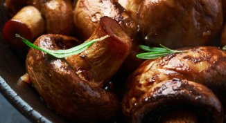 Funghi a Genova e in Liguria: dove raccoglierli, ristoranti, sagre e ricette