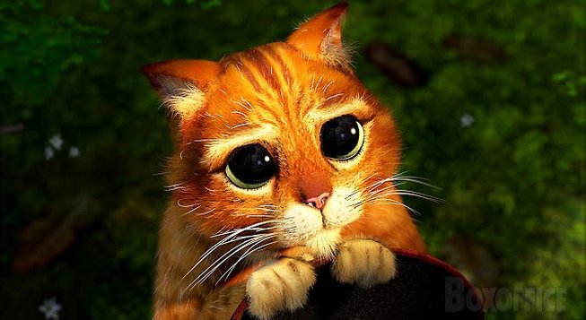 Il gatto con gli stivali al Teatro Miela di Trieste