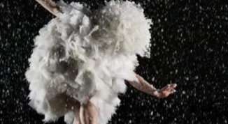 Come il brutto anatroccolo, teatro per bambini al PalaMostre di Udine