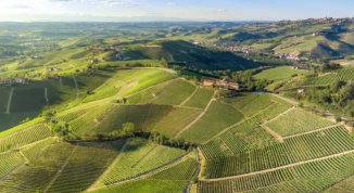 Terra Madre Salone del Gusto 2026 a Torino: gli appuntamenti che raccontano il Piemonte, tra cibo, turismo e natura