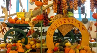 Andezeno, tra campi di raccolta e mostra mercato all'azienda agricola Tutto Zucche 