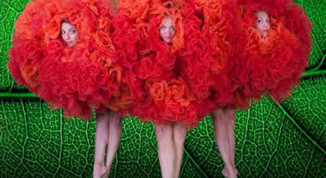 MOMIX - BOTANICA SEASON 2