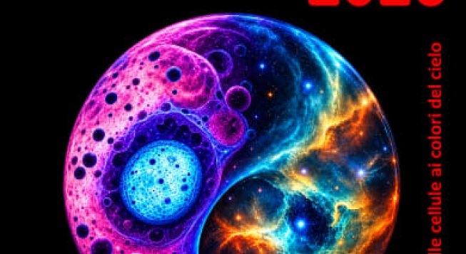 Dal micro al macrocosmo, quinta edizione di Art & Science al Teatro Petruzzelli