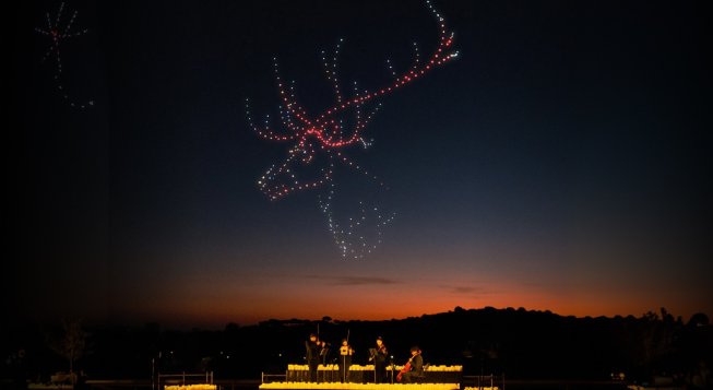 DroneArt Show