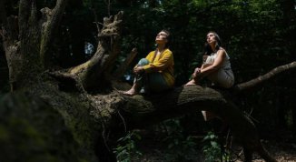 Rest to Fest 2026, a Torino il primo festival dedicato a cura ambientale e salute mentale. Il programma