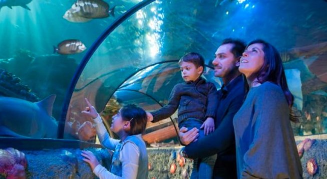 Gardaland Sea Life Aquarium, acquario interattivo con oltre 5000 creature marine