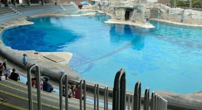 Oltremare, parco tematico di natura e avventura a Riccione
