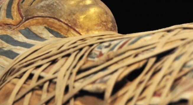 Accesso prioritario al Museo Egizio di Torino, visita guidata con biglietto saltafila