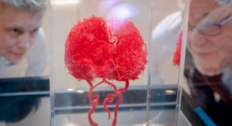 Mind Your Brain! alle OGR Torino: la mostra che esplora i meccanismi della mente e del cervello